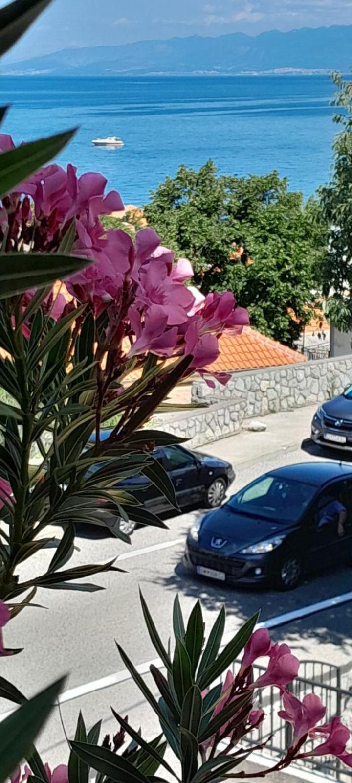 Apartment Danica سفيتي يوراي المظهر الخارجي الصورة