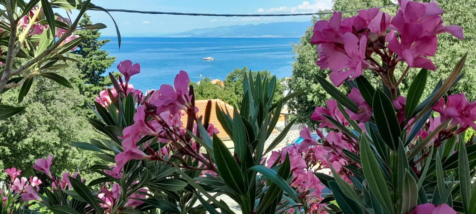Apartment Danica سفيتي يوراي المظهر الخارجي الصورة